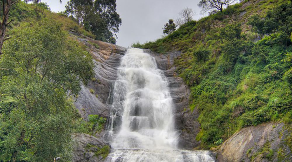 https://d3r8gwkgo0io6y.cloudfront.net/upload/Ooty Kodai.jpg